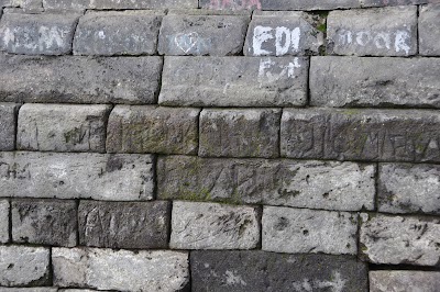 DSC_0545.JPG
