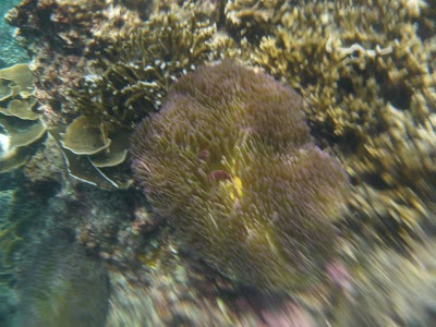 P1050325.JPG