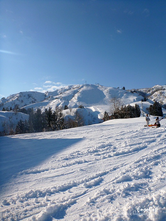 [P10207533.jpg]