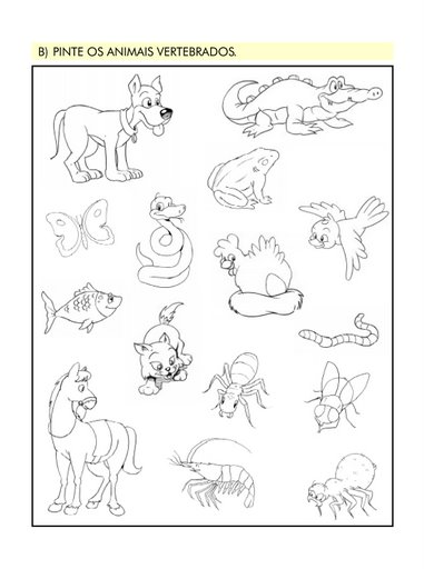 COLORIR ANIMAIS VERTEBRADOS – Colorir e Aprender