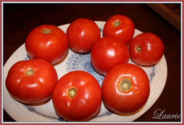 [tomatoes2.jpg]