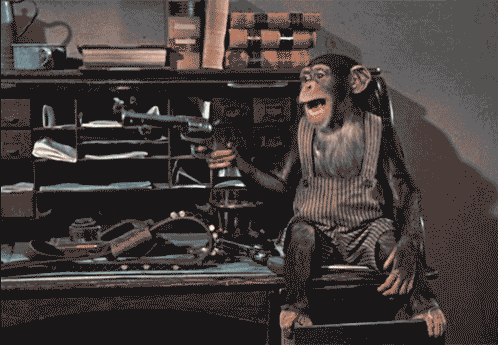 la-animais-17.gif