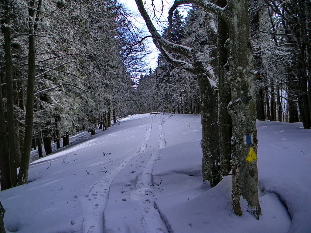 [DSCN46073.jpg]