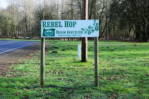 [image%255B3%255D.png]