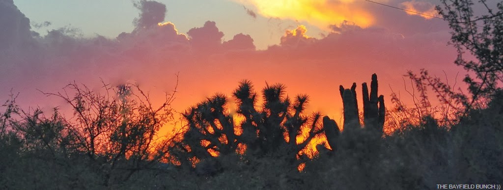 [DSC_0045%255B4%255D.jpg]