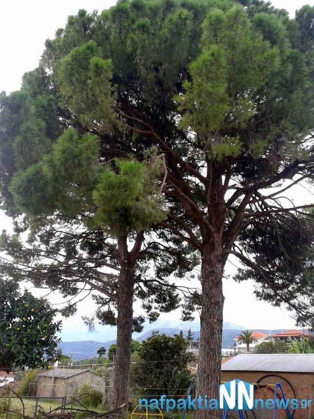 2012-01-01 13.25.42.jpg