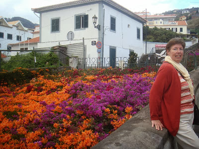 kleurrijk-santa-cruz.jpg