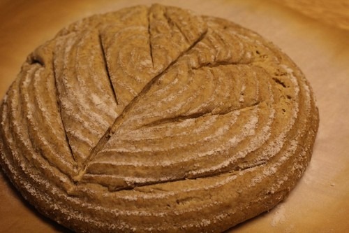 einkorn-bread-sponge17