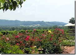 Rose Garden at Raffaldini's