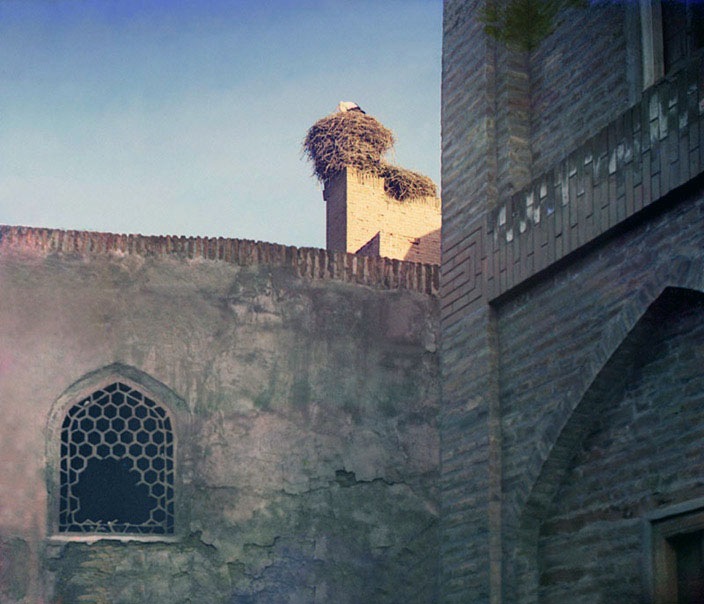 [A-Stork-a-scene-in-Bukhara-19115.jpg]