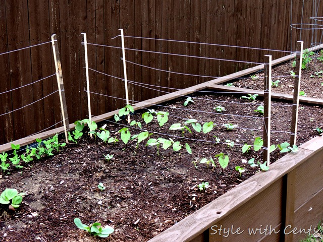 square foot gardening how to garden in a raised garden bed5