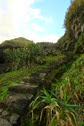 IMG_4371 IMG_4371