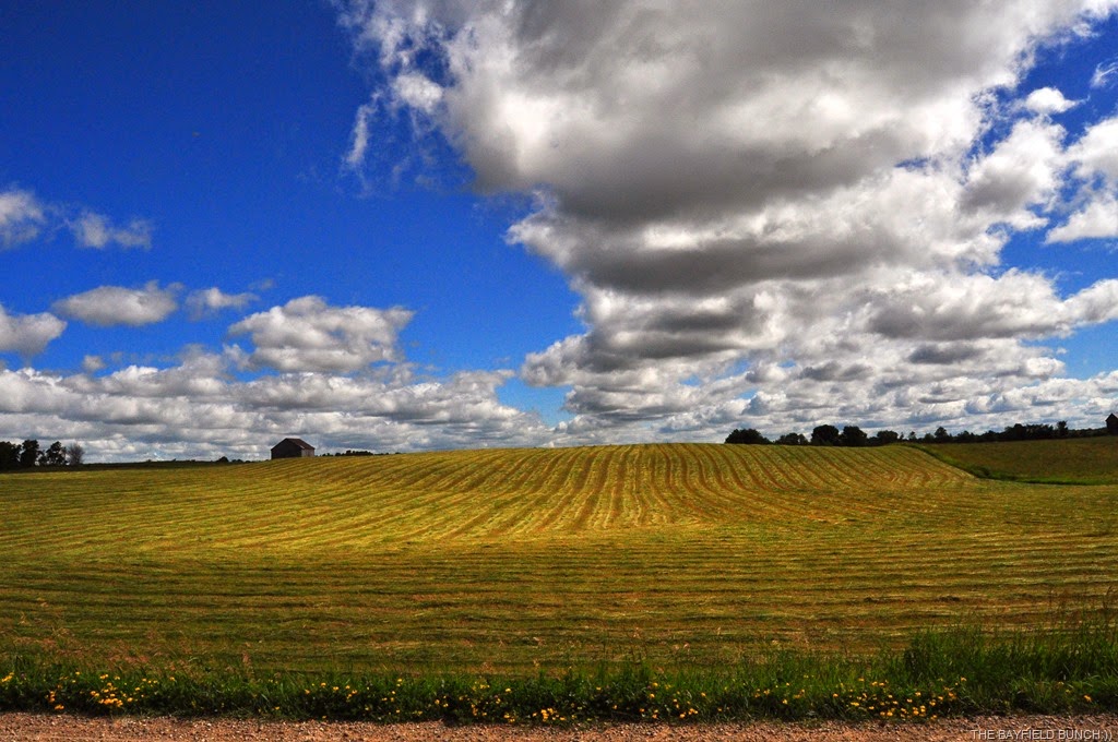 [DSC_0021%255B4%255D.jpg]