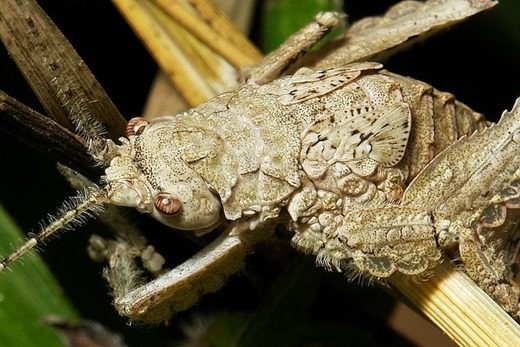 [751549647e02e506c53414ddbd44f151%255B2%255D.jpg]