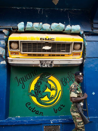 Calator cu tricolor: Saint Louis, Senegal