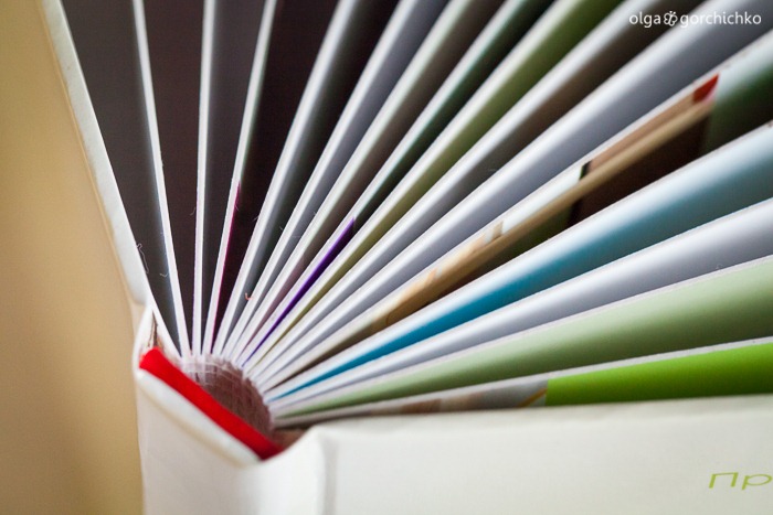 minibuk-masha-i-misha-6