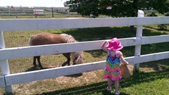 Bella 7.18.13 Plymouth farm feeding pony2