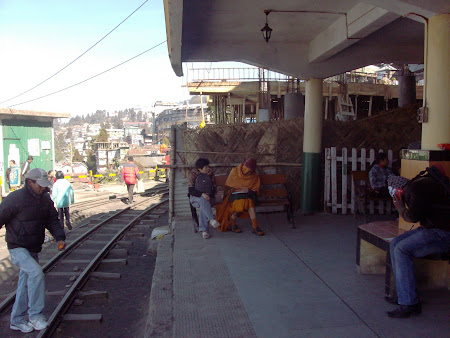 109. prietenii neasteptate in gara din Darjeeling.JPG