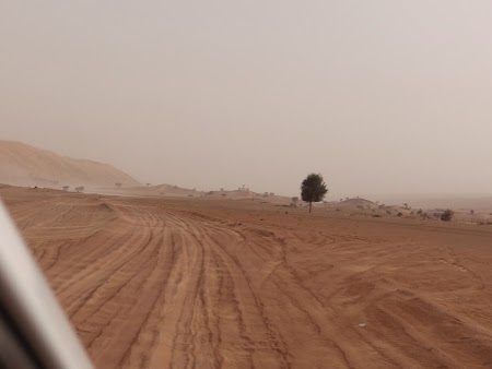 25. Cu masina in desert.JPG