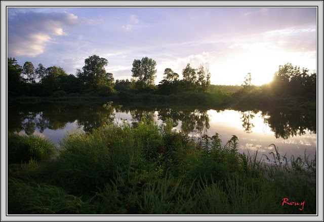 Etang du Marais de Lancin photo #1329