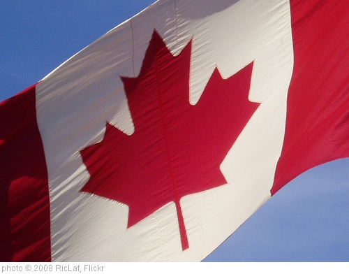 'Canadian flag (Halifax NS, May 20 2008)' photo (c) 2008, RicLaf - license: http://creativecommons.org/licenses/by-sa/2.0/