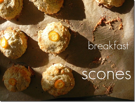 kumquat-poppyseet-scones-2