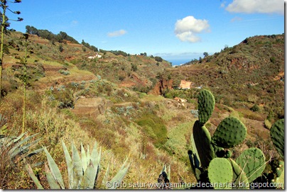 3135 Circular Barranco Propios 3135 Circular Barranco Propios