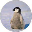 Timothy Fairweather