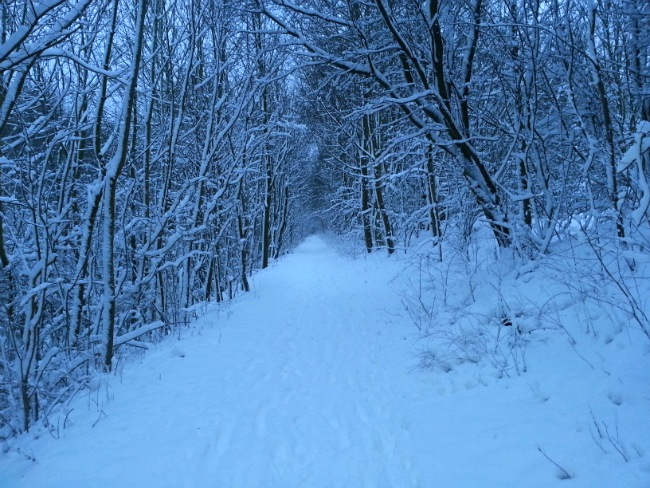 Sne på Volden, 10. december 2012 - fra Anders' tur hjem