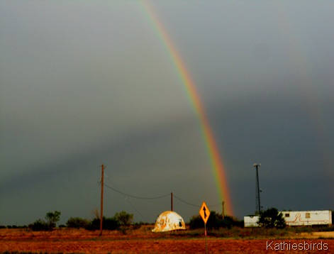 13. TX Rainbow-kab