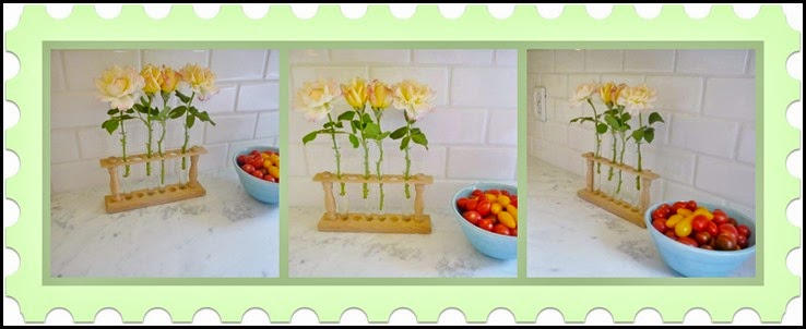 Ribbet collage Summer Flowers and tomatoes