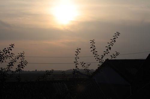 20110924 (1) (Large)