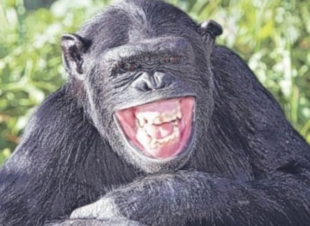 [clip_image004%255B6%255D%255B3%255D.jpg]