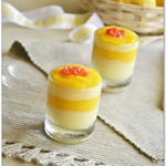 mangovanillaverrines5 mangovanillaverrines5