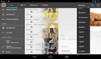 WOB Morphlist APK Gambar Screenshot #16