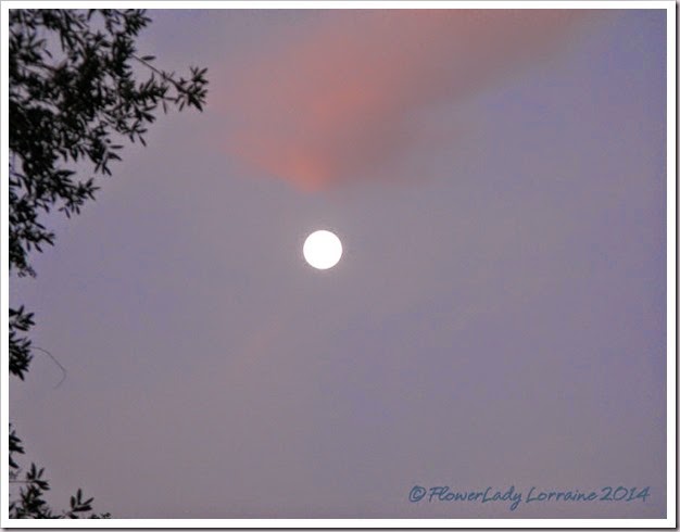 07-013-moon-setting-at-sunrise2