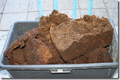 IMG_6011 IMG_6011