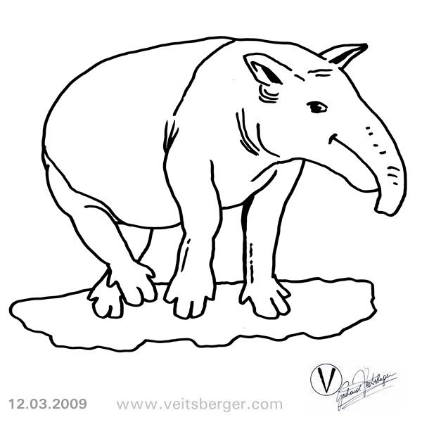[tapir%2520colorear%25202%25202%255B3%255D.jpg]