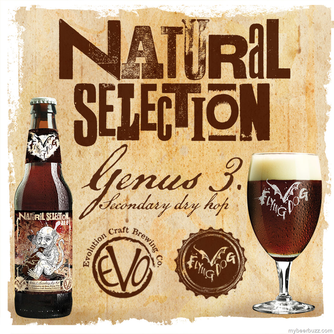 [image%255B2%255D.png]