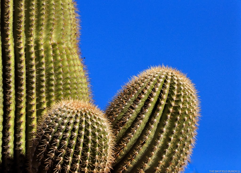 [DSC_0001%255B9%255D.jpg]