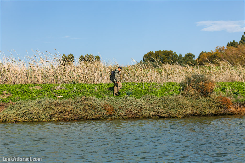 LookAtIsrael.com - Восстановление реки Кишон | Recovering Kishon river | שיחזור נחל קישון