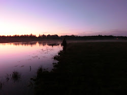 Skjern Au _ Oktober 2012 - 110