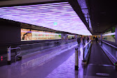 DSCF3048.JPG