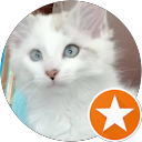 Image Google de eliane laurent