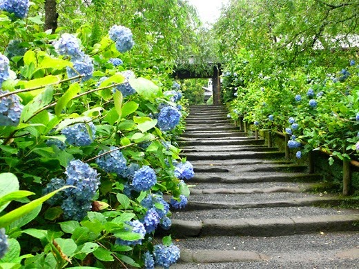 [clip_image001%255B4%255D.jpg]