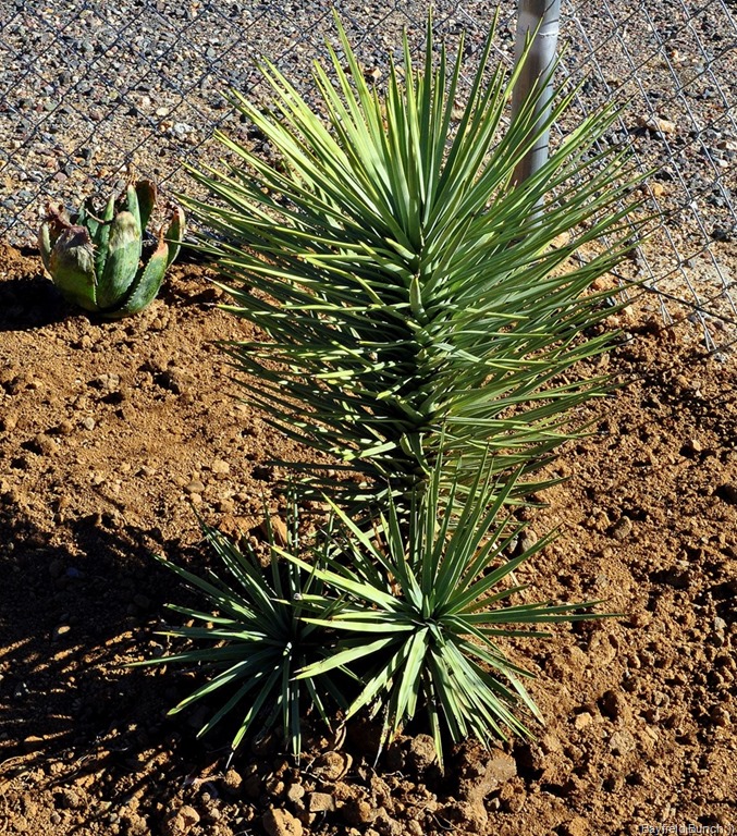 [DSC_00041%255B2%255D.jpg]