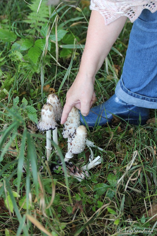 [IMG_3158%255B4%255D.jpg]