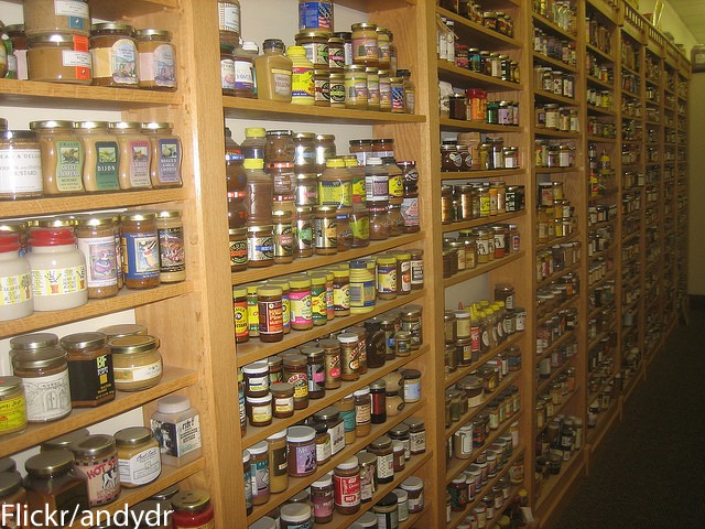 mustard_andydr copy