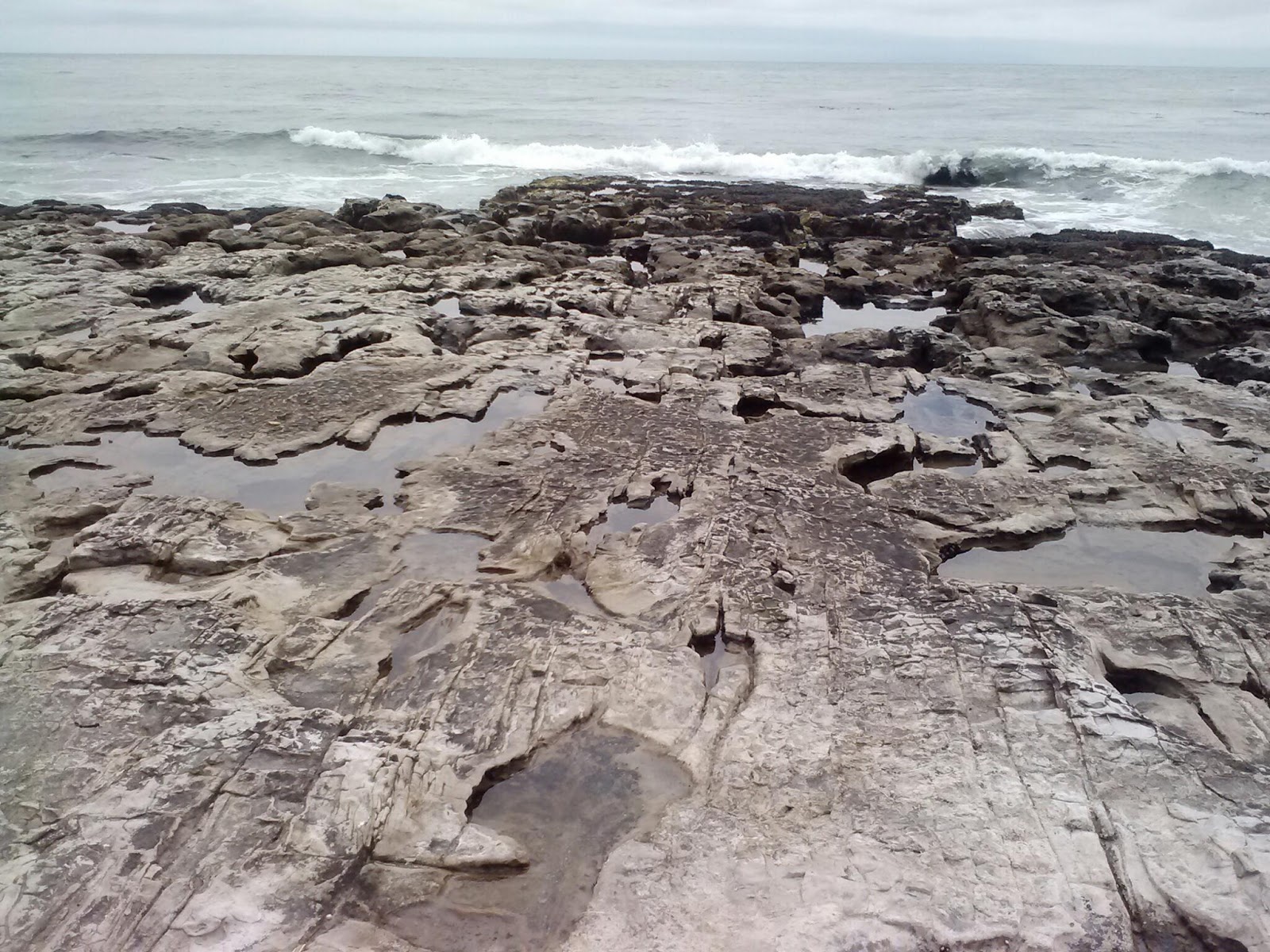 to-lose-sight-of-the-shore-time-for-tide-pools