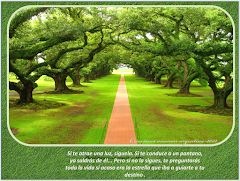 imagenes con frases 2013 [2]